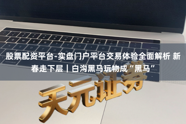股票配资平台-实盘门户平台交易体验全面解析 新春走下层｜白沟黑马玩物成“黑马”