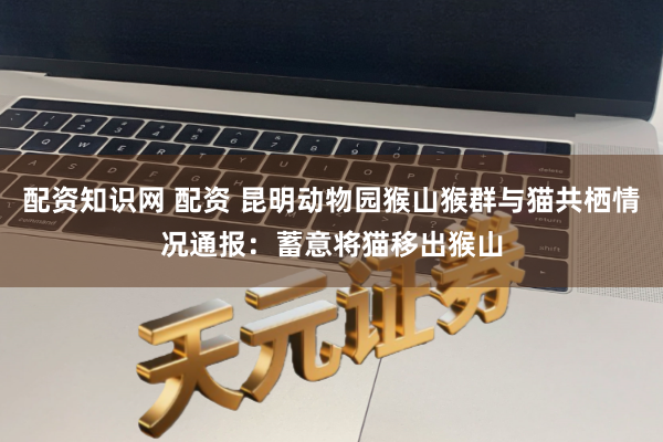 配资知识网 配资 昆明动物园猴山猴群与猫共栖情况通报：蓄意将猫移出猴山