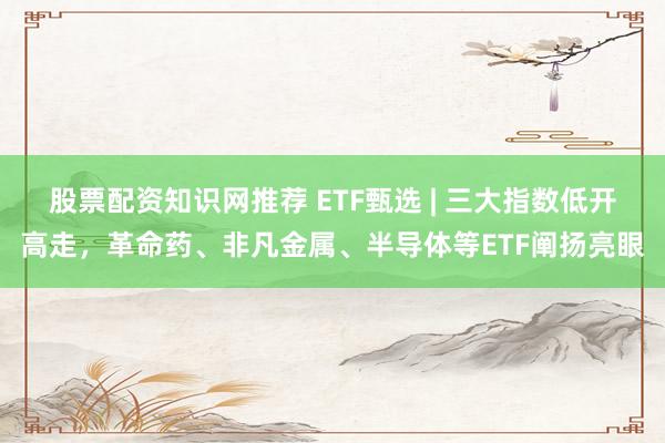 股票配资知识网推荐 ETF甄选 | 三大指数低开高走，革命药、非凡金属、半导体等ETF阐扬亮眼